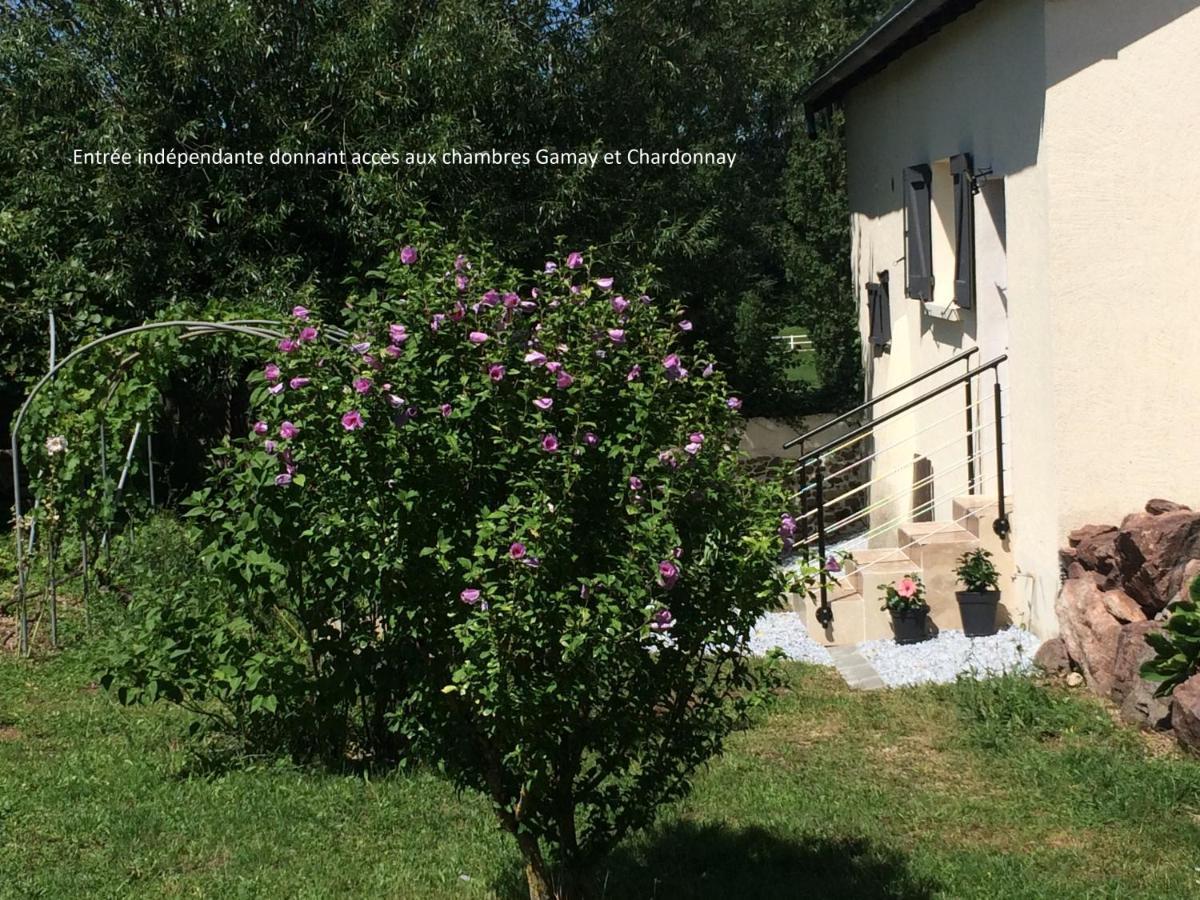 Le Grain De Louise Bed & Breakfast Lancie Exterior photo